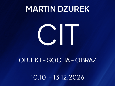 Martin Dzurek CIT