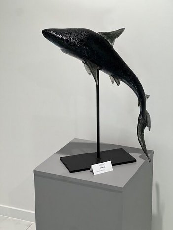 Bla bla niečo na testovanie Bla bla niečo na testovanie